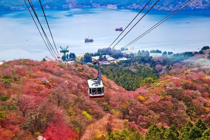 1 Day Private Tour to Hakone-Gotemba With English Speaking Driver - A local meal, with food paid separately