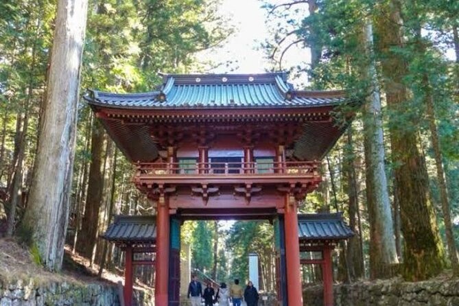 1- Day Private Tour to Nikko Tochigi With English Speaking Driver - Leaving Tokyo in a private car