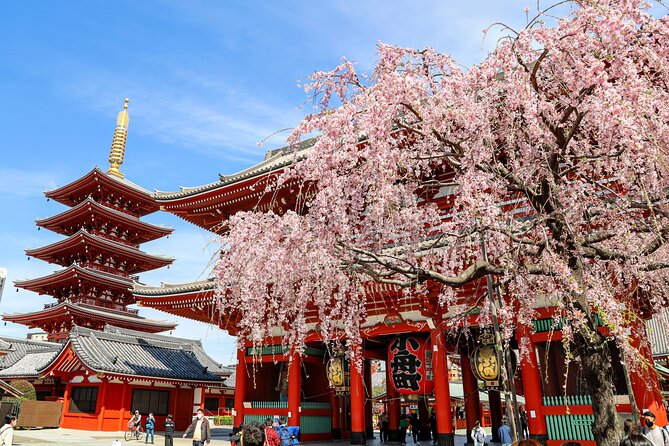 1-Day Tokyo Bus Tour - Key points at a glance