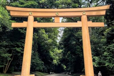 1-Day Tokyo Bus Tour - Starting in Shinjuku and crossing the city by coach