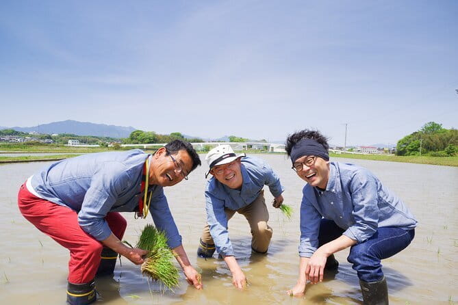 1 Day Tokyo Private Custom Tour - Gardens, tea, and a quieter side of Tokyo