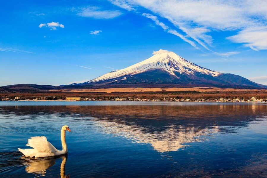 1-Day trip: Mt Fuji + Kawaguchi Lake area - Oishi Park and the changing view of Mount Fuji