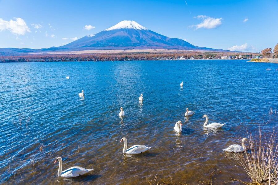 1-Day trip: Mt Fuji + Kawaguchi Lake area - Ropeway and cruise: two different ways to see the lake