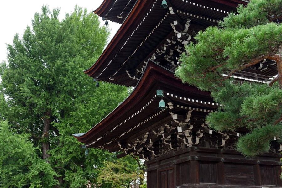 1-Day trip: Mt Fuji + Kawaguchi Lake area - What the $539 price really covers
