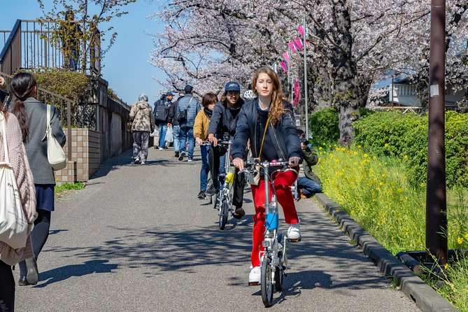 2.5 Hour-Guided Cycle Tour in the Central Tokyo - Starting at Hikifune Station with a folding bike