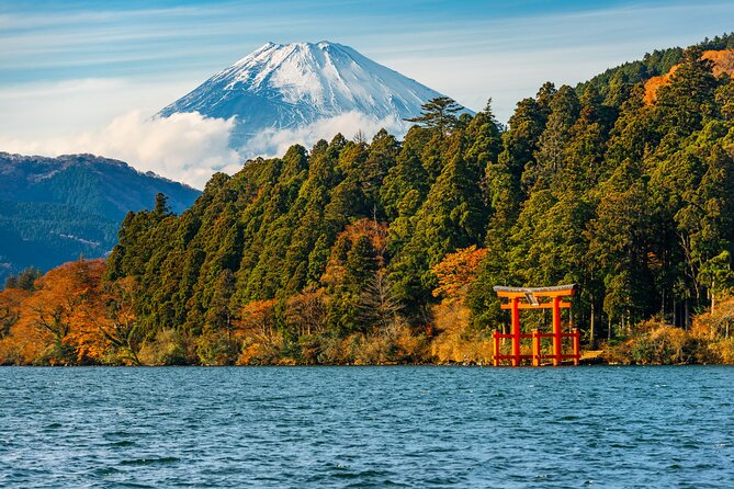3 Day Japan Highlights Tour: Tokyo, Mt.Fuji, Nara, Kyoto, Osaka - The pace, vehicle, and group size