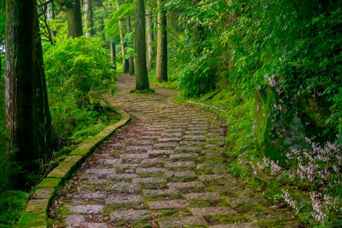 3 Day Japan Highlights Tour: Tokyo, Mt.Fuji, Nara, Kyoto, Osaka - Guide style and flexibility