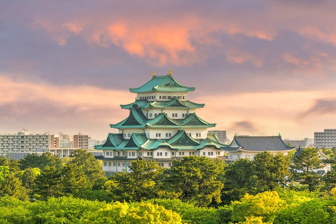 3 Day Japan Highlights Tour: Tokyo, Mt.Fuji, Nara, Kyoto, Osaka - Should you book it?