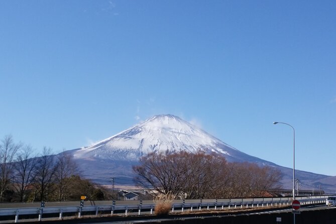 3 Day Japan Highlights Tour: Tokyo, Mt.Fuji, Nara, Kyoto, Osaka - Day 1: Kamakura temples, Enoshima, and volcanic Hakone
