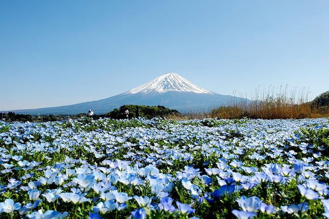 3 Days Tokyo, Mt. Fuji and Hakone Private Tour from Tokyo - Key points at a glance