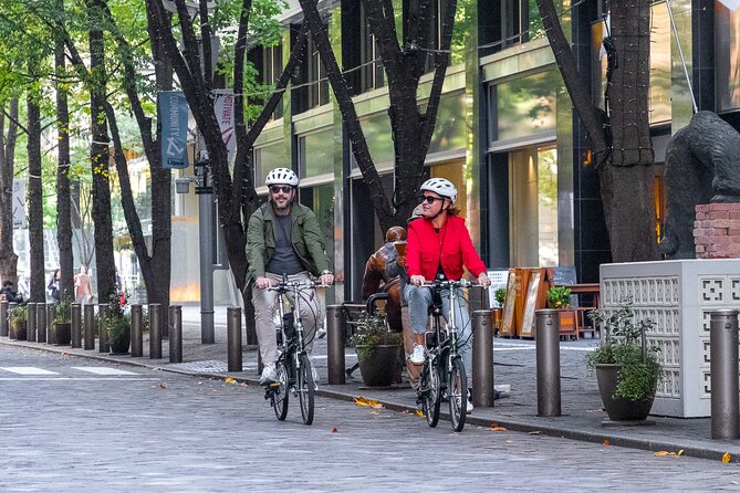 3-Hour Tokyo Private E-Bike Tour Starting from Your Hotel - Key points at a glance