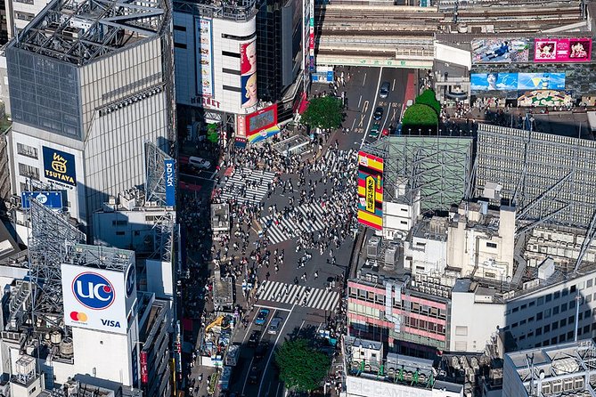 30-Min Tokyo Central Private Heli Tour– Asakusa, Skytree, Shibuya - Tokyo Bay, the city’s wide-open edge