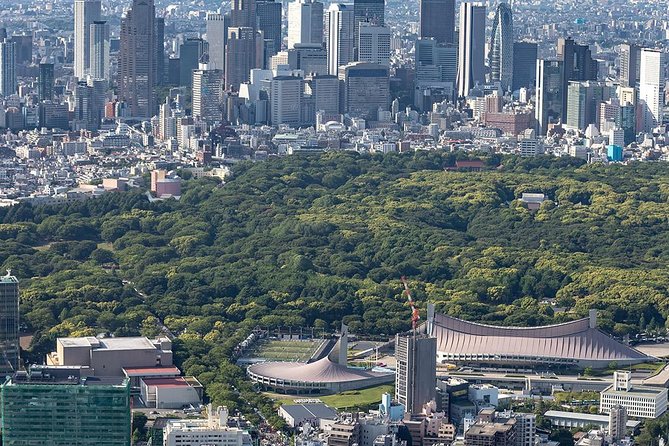 30-Min Tokyo Central Private Heli Tour– Asakusa, Skytree, Shibuya - Shibuya Crossing from the air