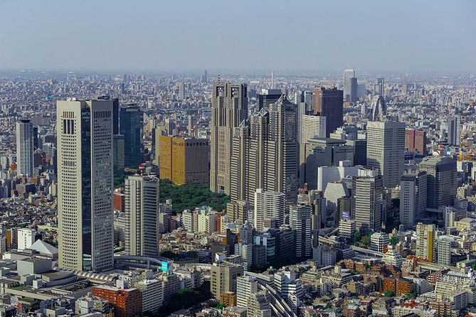 30-Min Tokyo Central Private Heli Tour– Asakusa, Skytree, Shibuya - A private flight, and what that means
