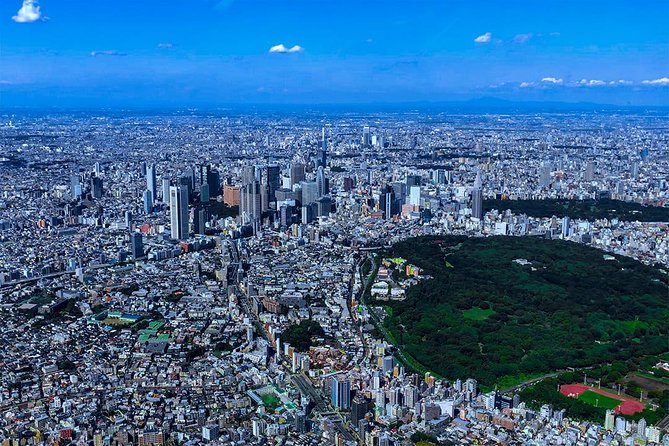 75-Min Mt. Fuji Half Day Private Helicopter Tour - Who should book this flight