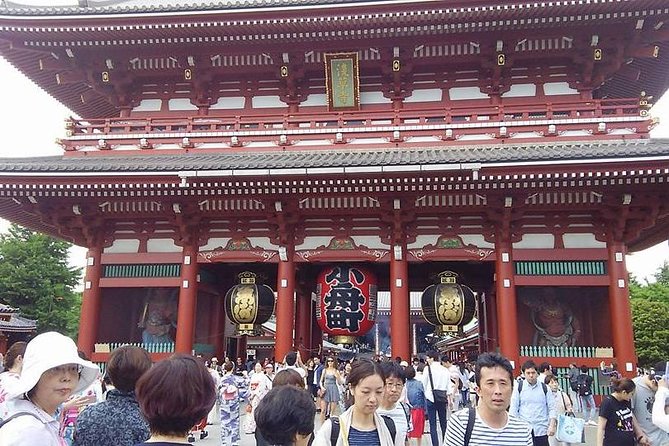8-hour Tokyo tour by qualified tour guide using public transport - Tsukiji Jogai Market for food and daily Tokyo