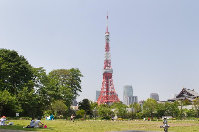 8-hour Tokyo tour by qualified tour guide using public transport - Tokyo Tower and a high view over the city