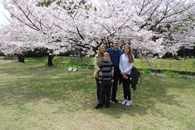 8-hour Tokyo tour by qualified tour guide using public transport - The Imperial Palace area, with two different faces