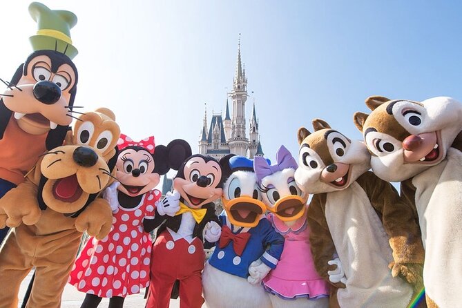 Airport transfer between Haneda and Tokyo or Disney or Yokohama - Communication and driver language