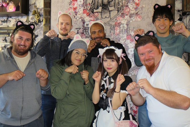 Akihabara Anime & Game Adventure Walking Tour (Group or Private) - Akiba Cultures Zone and the many faces of pop culture
