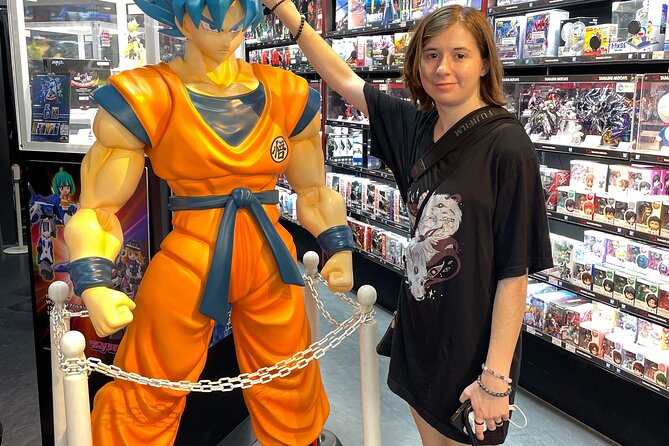 Akihabara Otaku Group Tour - What this Akihabara tour is really designed to do