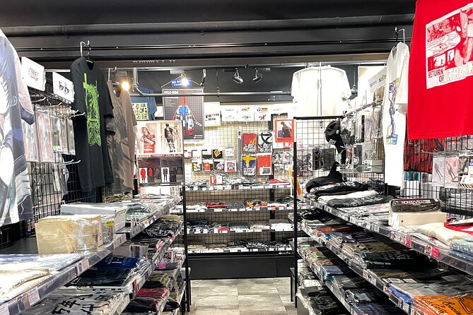 Akihabara Otaku Group Tour - Why a guide helps first-time visitors