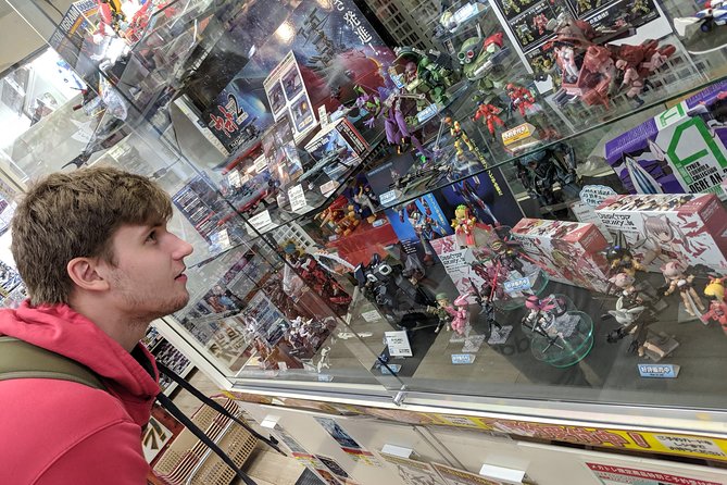 Akihabara Tailor-made Private Tour for Anime Fans - Why a private Akihabara tour helps