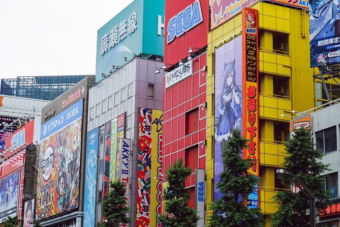 Akihabara Tour with Vintage Gaming Anime and Gachapon Experience - Starting at Radio Kaikan near Electric Town Exit