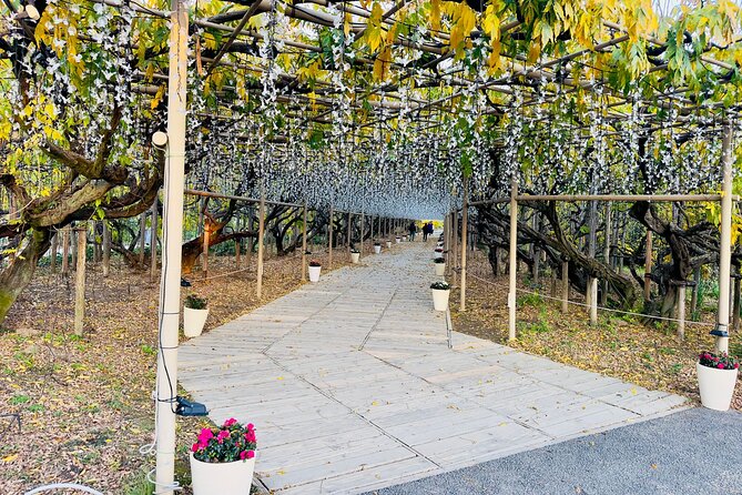 Ashikaga Flowers Park Pvt. One Day Tour with Pickup - Practical details before you commit