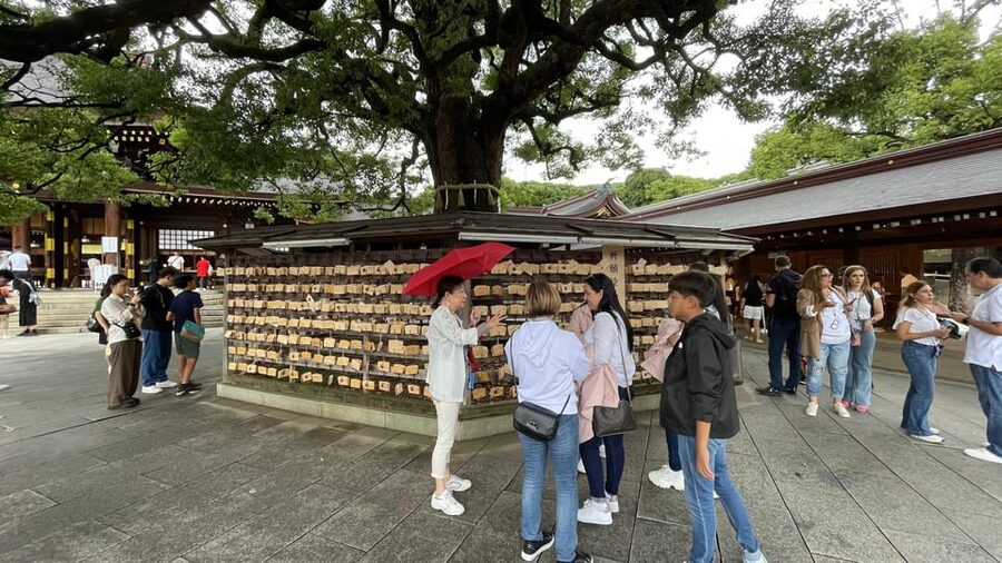 Awesome Private Tour: Tsukiji, Asakusa, Shinjuku, Shibuya - Yanaka, Nakano, and Kichijoji reward a slower pace