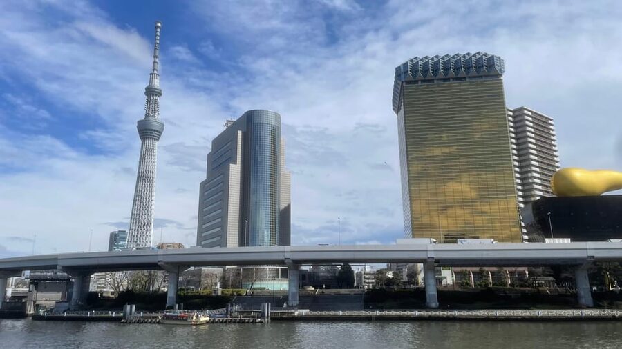 Awesome Private Tour: Tsukiji, Asakusa, Shinjuku, Shibuya