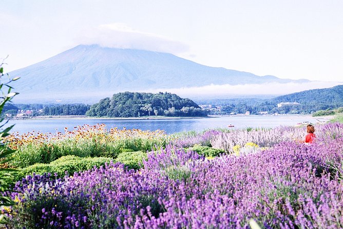 Barrier-Free Private Mt. Fuji Tour for Wheelchair Users - A long, private escape from Tokyo