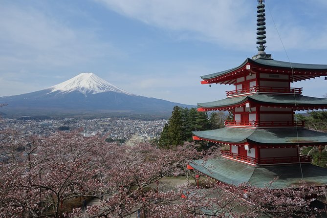 Barrier-Free Private Mt. Fuji Tour for Wheelchair Users - Lake Kawaguchiko and Oishi Park