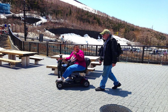 Barrier-Free Private Mt. Fuji Tour for Wheelchair Users - Accessibility, timing, and extra costs