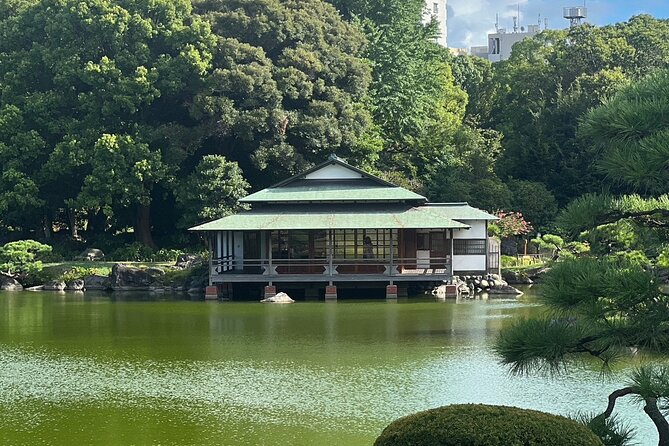 Best of Downtown Tokyo: Nature, Coffee, & Japanese Sweets Tasting - An hour among ponds, stones, and birds at Kiyosumi Gardens