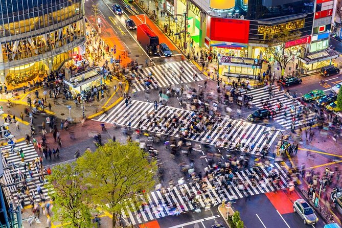 Best of Shibuya Food Tour - Key points at a glance