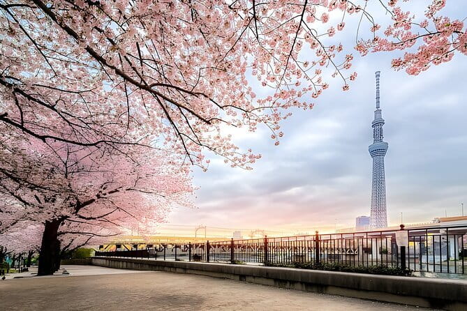 Best of Tokyo Private Tour English Driver &Customizable Itinerary - Why a private vehicle helps in Tokyo
