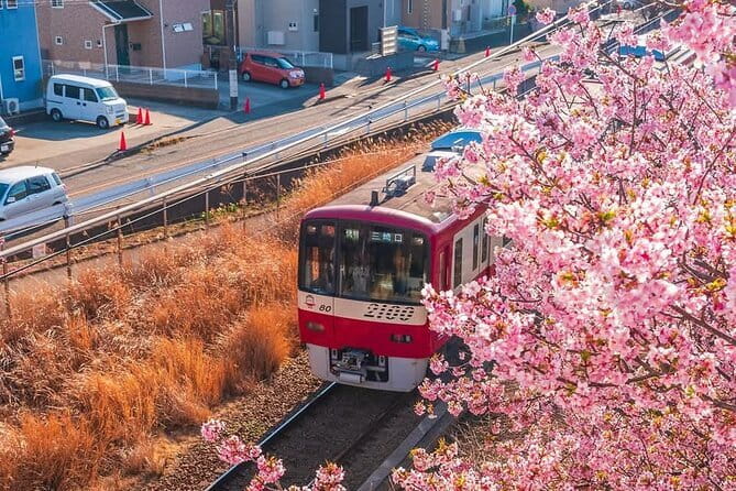 Best of Tokyo Private Tour English Driver &Customizable Itinerary - Imperial Palace gardens and the Edo Castle ruins