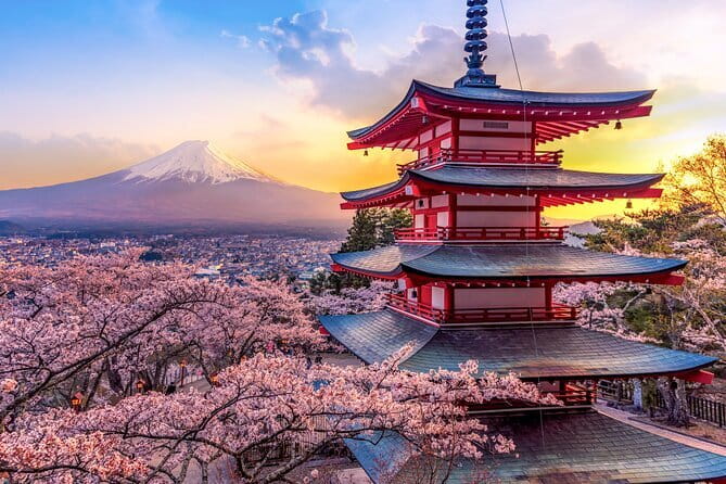 Best of Tokyo Private Tour English Driver &Customizable Itinerary - Tsukiji for seafood and market atmosphere