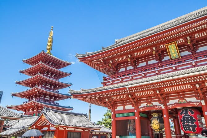 Best of Tokyo Private Tour English Driver &Customizable Itinerary - Meiji Jingu and Takeshita Street in Harajuku