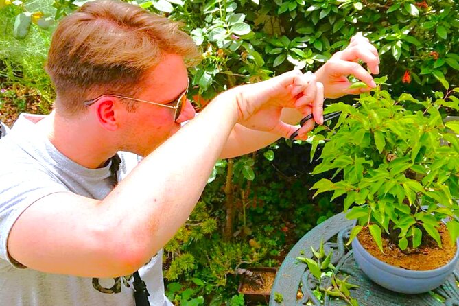 Bonsai Tour & Experience at the Most Sacred City for Bonsai in JP - Key points to know before booking
