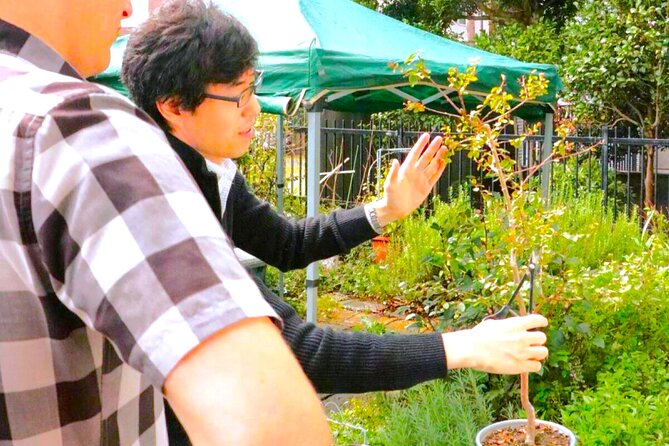 Bonsai Tour & Experience at the Most Sacred City for Bonsai in JP - The cafe workshop: pruning, wiring, and shaping