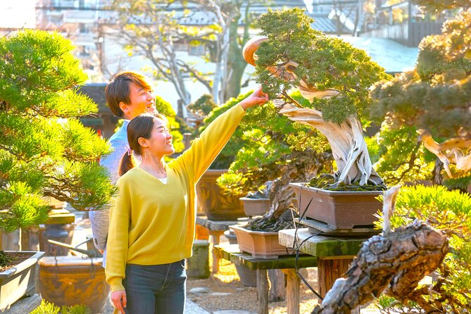 Bonsai Tour & Experience at the Most Sacred City for Bonsai in JP - Group size, age rules, and what to expect