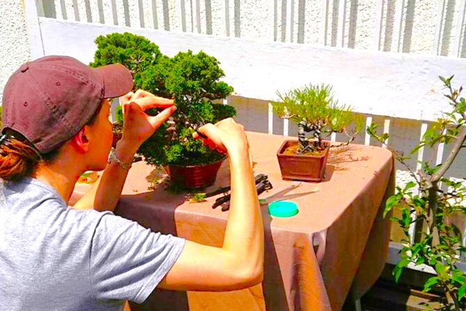 Bonsai Tour & Experience at the Most Sacred City for Bonsai in JP - Touring the bonsai gardens and nurseries