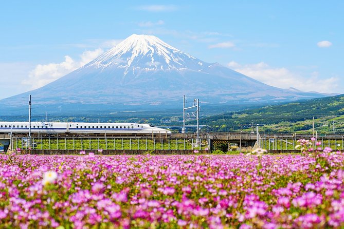 Bullet Train and Mt. Fuji Famous Food Tour - The Mt. Fuji World Heritage Centre