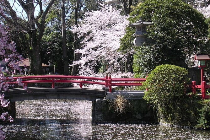 Bullet Train Experience & Mishima Shrine Private Tour from Tokyo - Riding the Tokaido Shinkansen to Mishima