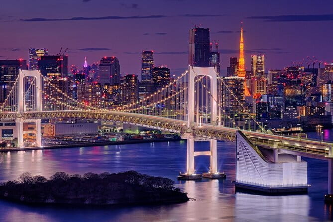Bullet Train Experience & Mishima Shrine Private Tour from Tokyo - What the Guide Adds to the Price