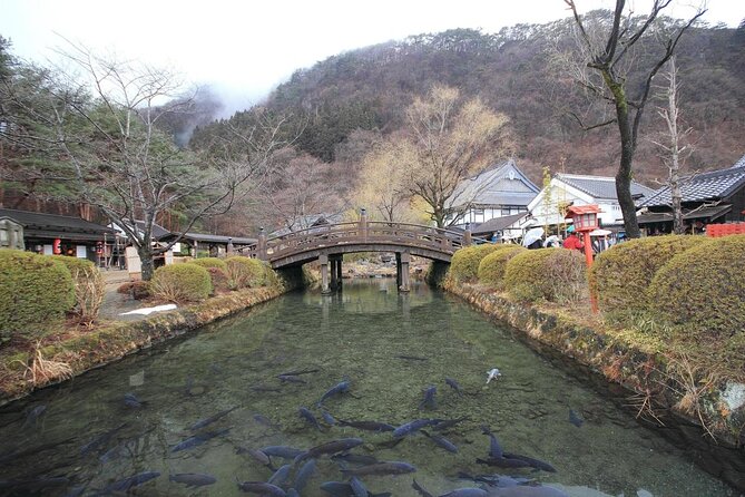 Chartered Private Tour - Tokyo to Nikko, Toshogu, Edo Wonderland - Tamozawa Villa offers a quieter change of pace