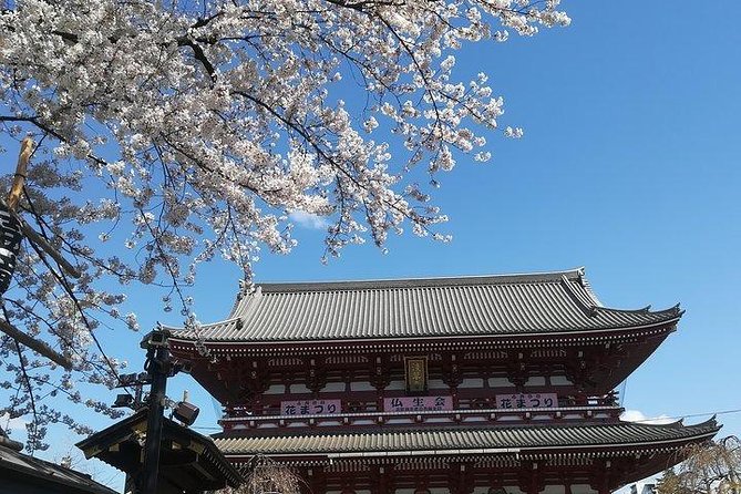 Cherry Blossom Highlights, Asakusa, Ueno, Imperial Palace Garden - How much value does the $221.12 price offer?