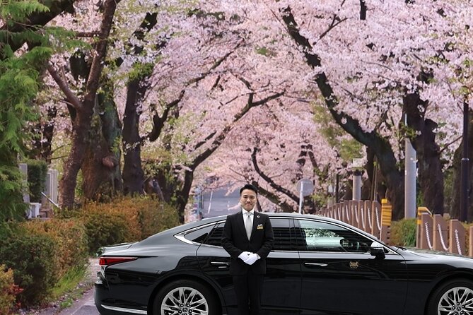Cherry Blossom Private Tour - Key points to know before booking